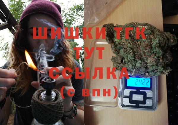 индика Туринск